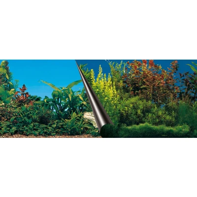 Afbeelding van Europet Bernina Achterwandposter Beauty Met Sea Aquarium Achterwand 80x40 cm