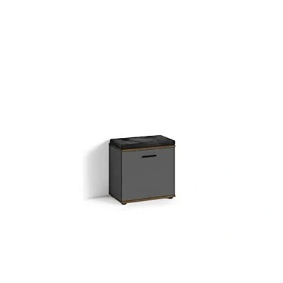 Afbeelding van byLIVING Jakob zitbank antraciet met zitkussen kunstleer zwart deur twee vakken schoenenkast B 48,5 H 49 D 30 cm houtlook antiek