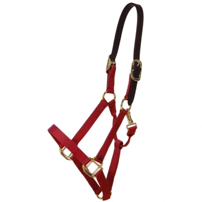 Afbeelding van Kentucky Halster Nylon Breakaway Bordeaux
