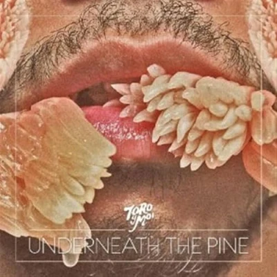 Afbeelding van Toro Y Moi Underneath The Pine (CD)
