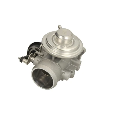 Afbeelding van EGR klep MAGNETI MARELLI 571822112048