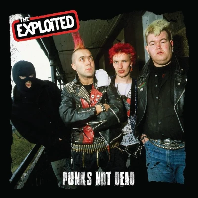 Afbeelding van Punk&#039;s Not Dead