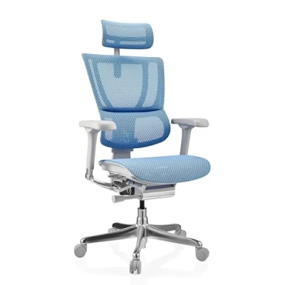 Afbeelding van ERGOHUMAN SLIM I G net Luxe directiestoel Blauw
