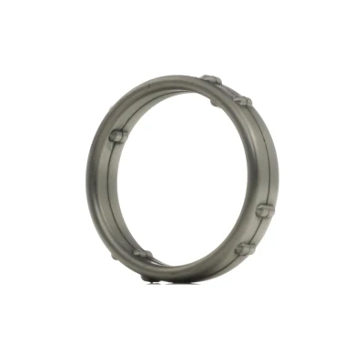 Afbeelding van Elring Thermostaathuis pakking 687.690