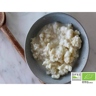 Afbeelding van 15 g Strain and The Best in Europe Organic Milk Kefir Bonen Tibetaanse Mushroom Grzybek Starter