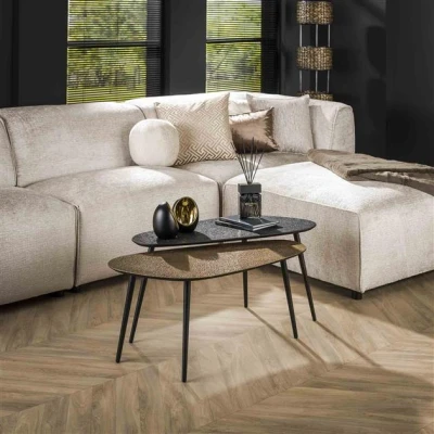 Afbeelding van Hoyz Salontafel Metallic Niervormig Grijs Set van 2