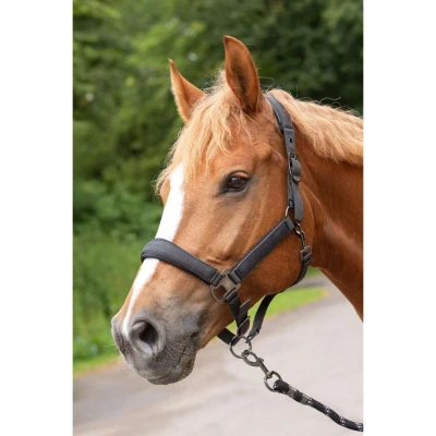 Afbeelding van Harry&#039;s Horse Halsterset Denici Cavalli Shadow Zwart/Zand