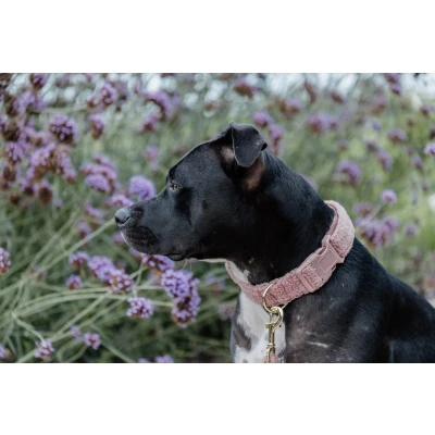 Afbeelding van Kentucky Halsband Teddy Fleece Oud Roze 28 40cm