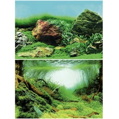 Afbeelding van Superfish Deco Poster Aquarium Achterwand 100X49 cm Aquascape Plant