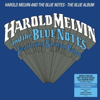 Afbeelding van The Blue Album