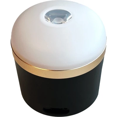 Afbeelding van ECOFLOW 600545 Campinglamp LED 400 lm werkt op een accu 0.344 kg