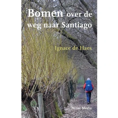 Afbeelding van Bomen over de weg naar Santiago