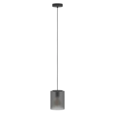 Afbeelding van EGLO Colomera Hanglamp E27 Ø 15 cm Zwart/Mat Grijs