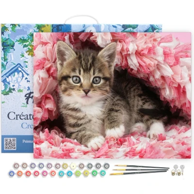 Afbeelding van Figured&#039;Art Schilderen op Nummer Volwassenen met lijst Gecoat katje Handwerk acrylverf Kit DIY Compleet 40x50cm Canvas al ingelijst