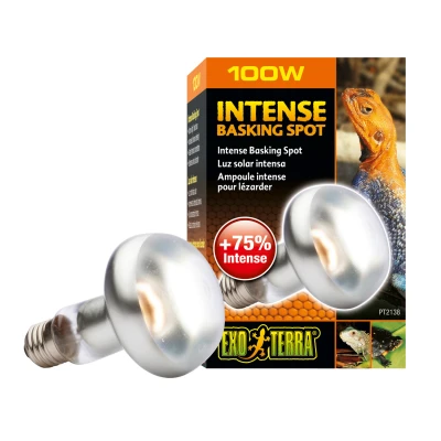 Afbeelding van Exo Terra Intense Basking Spot Verwarming 100 Watt S25
