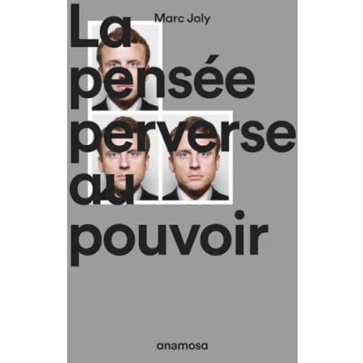Afbeelding van La pensée perverse au pouvoir