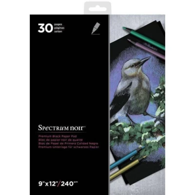 Afbeelding van Spectrum Noir Premium Zwart tekenblok 9&quot;x12&quot; (22.9x30.5 cm)