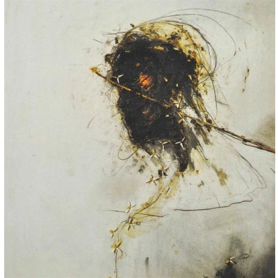 Afbeelding van Peter Gabriel Passion Music For The Last (CD)