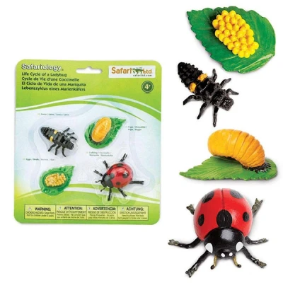 Afbeelding van Safari Ltd. Speelfiguren levenscirkel lieveheersbeestje