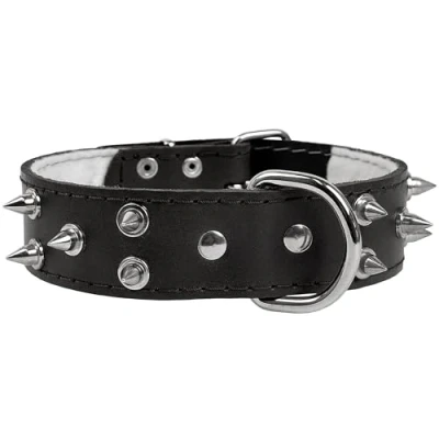 Afbeelding van Zwarte, Leren Halsband met Spikes, Hondenhalsband 40mm/67cm