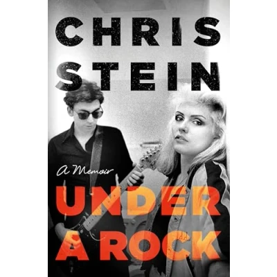 Afbeelding van Under A Rock
