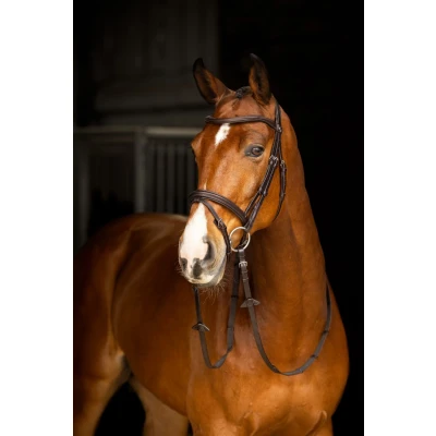 Image de LeMieux Bride Arika Flash Marron/Argent Cob