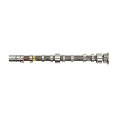 Afbeelding van KOLBENSCHMIDT 50007019 Nokkenas Afvoerzijde VOLKSWAGEN: Golf 6, Plus / Crossgolf, Polo V Hatchback, AUDI: A1 Sportback