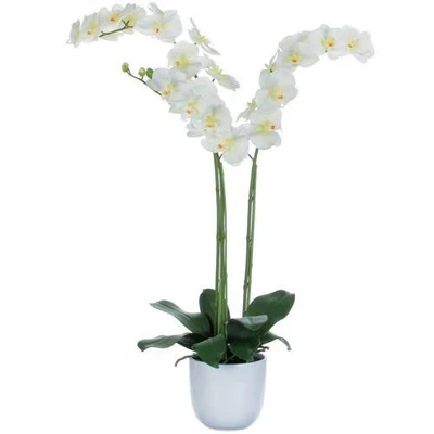 Afbeelding van Mica Decorations Phalaenopsis Kunstplant in Pot 65x45x72 cm Wit