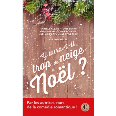 Image de Y aura t il trop de neige à Noël ?
