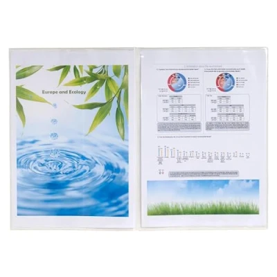 Afbeelding van Exacompta 38060E 5x SACHET 10 ETUIS DOUB