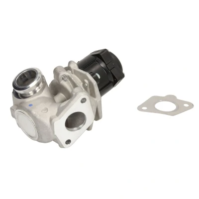 Afbeelding van WAHLER 710929D/1 EGR klep Electrisch Met pakkingen FORD: FIESTA 6 Van, 6, 5, PEUGEOT: Bipper Tepee, 207 Hatchback, Van