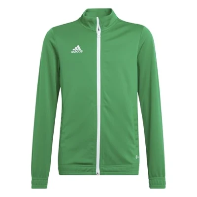Image de adidas Mixte enfant Entrada 22 Track Jacket, team green/white, 11 12 Years