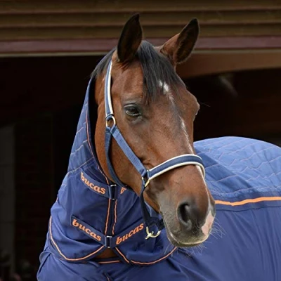 Afbeelding van Bucas Therapy Neck Navy/Orange 125/168/S