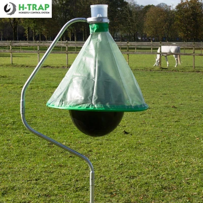 Afbeelding van Dazenval h trap