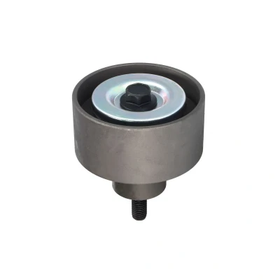 Afbeelding van Geleide rol/omdraairol, Poly V riem DAYCO APV2812