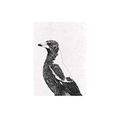 Afbeelding van Maxwell &amp; Williams Marini Ferlazzo theedoek, bedrukt, Australische vogels, katoen, zwart/wit, 50 x 70 cm