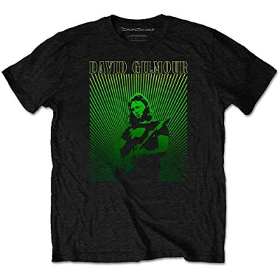 Afbeelding van David Gilmour Rays Gradient Heren T shirt M Zwart