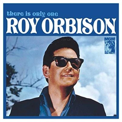Afbeelding van Roy Orbison There Is Only One (LP) (Reissue)