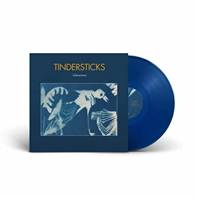 Afbeelding van Tindersticks Distractions (LP)