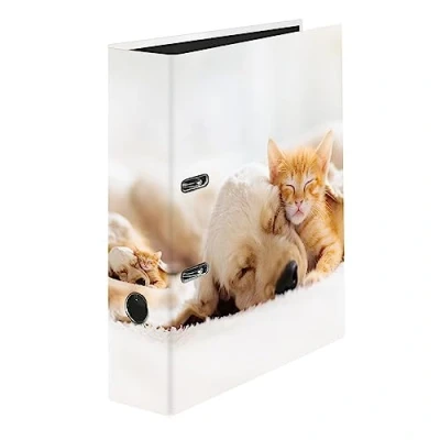 Afbeelding van Falken Pets Ringband van kunststof, A4 formaat, 8 cm breed