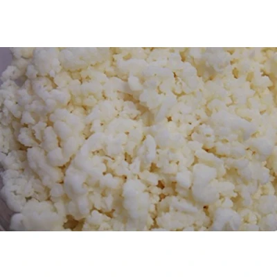 Afbeelding van Melk Kefir korrels per Lifetime