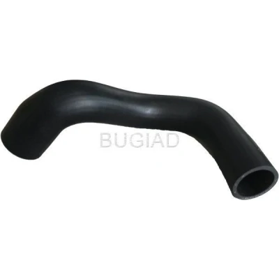 Afbeelding van Laadluchtslang BUGIAD 88631