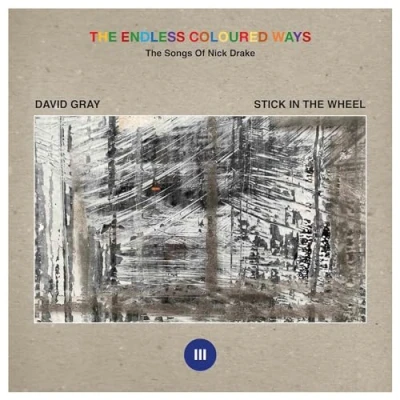 Afbeelding van David Gray &amp; Stick In The Wheel Endless Coloured Ways: Songs Of Nick Drake (7&quot; Vinyl Single)