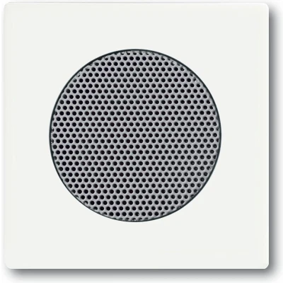 Afbeelding van BJ 8253 884 CPL V RADIOLUIDSPREKER
