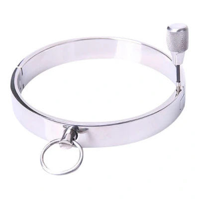 Afbeelding van Kleine metalen halsband