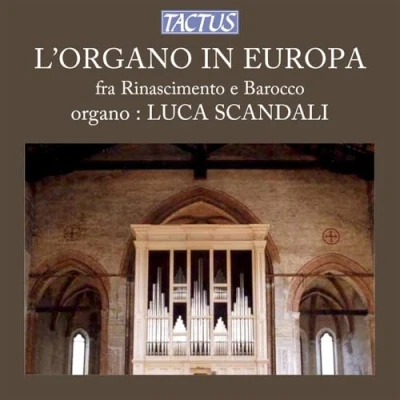 Afbeelding van Luca Scandali Organ In Europe From Renaissance An (CD)