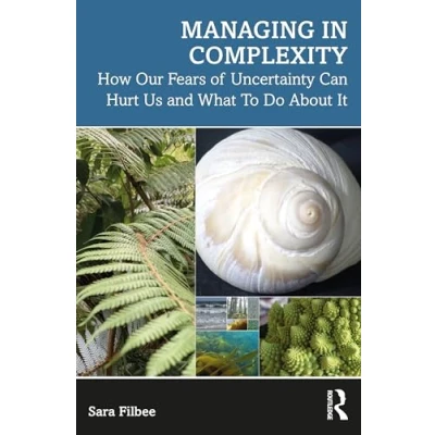 Afbeelding van Managing in Complexity