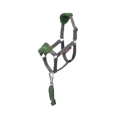 Image de LeMieux Ensemble Licol Hobby Horse Vogue Hunter GreenVendu par Agradi
