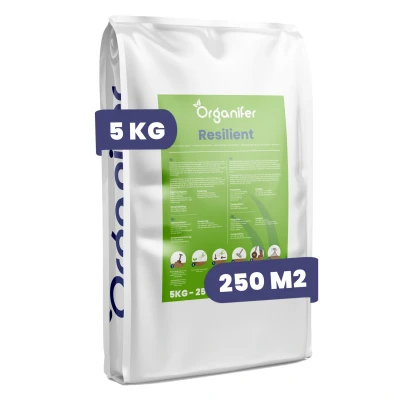 Afbeelding van Organifer Herstelgazon Graszaad Resilient (5 kg voor 250 m2)