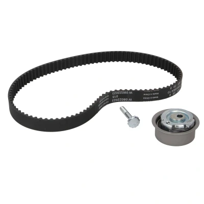 Afbeelding van INA Distributieriem kit 530 0839 10